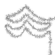 Kurt Adler 3000 Cool White LED Light 98' Cluster Garland