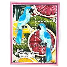 LDRS Creative 5" x 7" Tropical Paper 72-Sheet Bundle