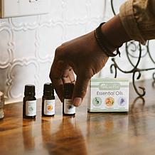 LivePure Essential Oils Variety 3-pack