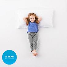 LUCID Comfort Collection Mattress Protector - King