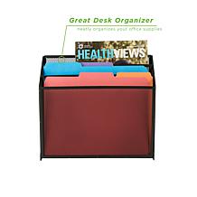 Mind Reader 3-Tier Jumbo Mesh Magazine & File Organizer
