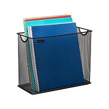 Mind Reader File Storage Basket