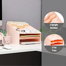 Mind Reader Plastic Desktop Organizer Vertical File Holder Pink