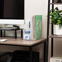 Mind Reader Vertical File Storage Desktop Organizer Magazine Holder