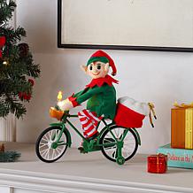 Mr. Christmas 11.5" Cycler Gnome