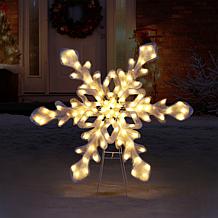 Outdoor Christmas Decorations | HSN