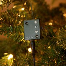 Mr. Christmas Fiber Optic Angel Wing Tree Topper