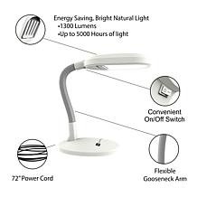 Natural Sunlight Desk Lamp by Hastings Home