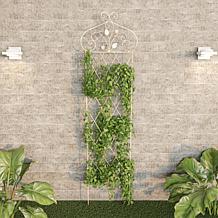 Nature Spring 63" Garden Trellis For Climbing Plants
