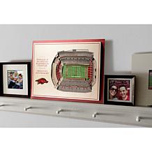 NCAA AR Razorbacks Wall Art- Donald W. Reynolds Razorback Stadium 