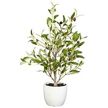 Nearly Natural 18" Olive Tree with Vase  Set of 2