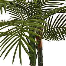 Nearly Natural 5.5 ft. UV Resistant Double Robellini Palm Tree