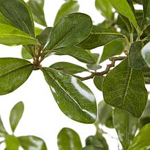 Nearly Natural 6 ft. Black Olive Tree with 940 Leaves