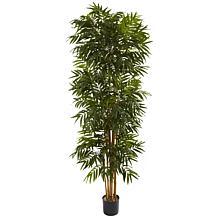 https://i02.hsncdn.com/is/image/HomeShoppingNetwork/prodgrid/nearly-natural-75-ft-12-trunk-phoenix-palm-tree-d-20191014103026613~9310225w.jpg