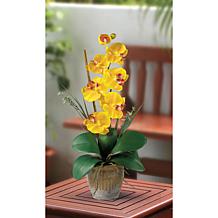 Nearly Natural Single Stem Phalaenopsis Silk Orchid Arrangement