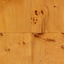 Netra Console Table with Natural Burl Wood and Storage