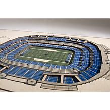 NFL Carolina Panthers StadiumViews Wall Art- Bank of America Stadium 