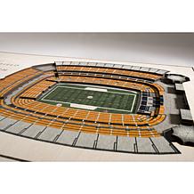 NFL Pittsburgh Steelers StadiumViews 3-D Wall Art - Heinz Field 