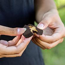 No Sugar Company 60-count Cupz - Dark Chocolate Peanut Butter