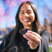 No Sugar Company 60ct Choco Mint & Chocolate Peanut Butter Keto Cups