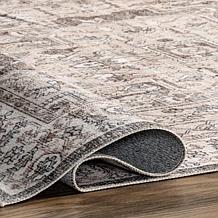 nuLOOM Brielle Machine Washable Vintage Medallion 8' x 10' Area Rug 