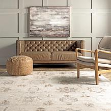 nuLOOM Krystin Distressed Machine Washable 6' x 9' Area Rug