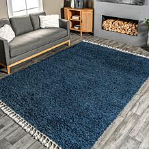 nuLOOM Neva 4' x 6' Modern Tasseled Shag Area Rug