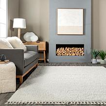 nuLOOM Neva Modern Tasseled Shag 5' 3" x 7' 7" Area Rug