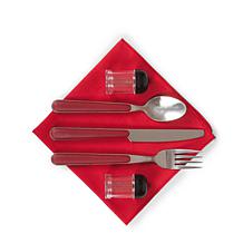 Officially Licensed MLB Philadelphia Phillies Pranzo Lunch Cooler Bag