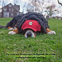 Officially Licensed NCAA Indiana University Pet Baseball Hat