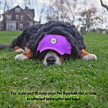 Officially Licensed NCAA Kansas State University Pet Baseball Hat