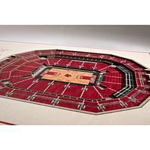 Officially Licensed NCAA Louisville Cardinals Wall Art- KFC Yum Center