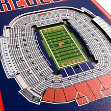 Officially Licensed NCAA Mississippi Rebels 3D Stadium Banner