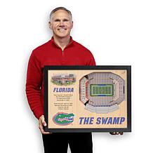 Officially Licensed NCAA Stadium Wall Art  - Florida Gators
