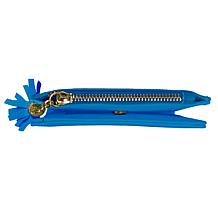 Officially Licensed NFL Carolina Panthers Mini Organizer Wallet