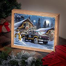 Officially Licensed NFL Sporticulture LED Lite Box