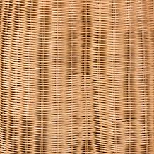 Palm Console Table with Woven Rattan and Metal Frame