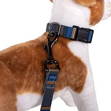 Pendleton Olympic National Park Adventure Dog Collar
