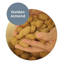 Perlier Golden Almond Bi-Phase Body Oil