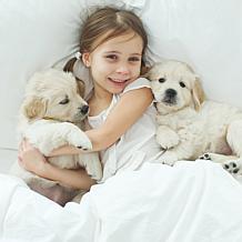 Pet Adobe 40" x 30" Waterproof Pet Throw Blanket - Tan