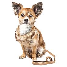 Pet Life Luxe Furracious 2-In-1 Mesh Reversible Dog Harness and Leash