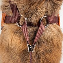 Pet Life Mesh 2-in-1 Adjustable Dog Harness-Leash with Bow Tie