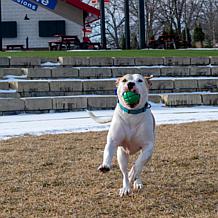 PetKORE FloTek Ball - Green Large 3.25"