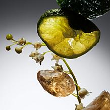 philosophy amazing grace eau de toilette 2 oz.