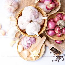 Porcelain Garlic Bulbs