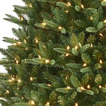 Puleo International 12' Pre-Lit Fir Tree 800 Warm White LED Lights 