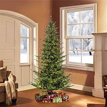 Puleo International 6.5' Pre-Lit Artificial Edmonton Fir Tree
