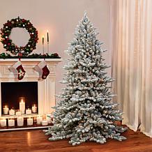 Puleo Intl. 7.5' Pre-lit Royal Fraser Fir Flocked Tree w/ Memory Tips