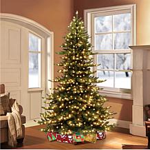 Puleo Intl. 7.5' Royal Majestic Spruce Tree with 700 Lights