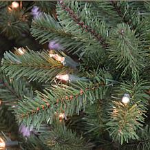 Puleo Intl. Pre-Lit 10' Berkshire Fir Artificial Christmas Tree, Green